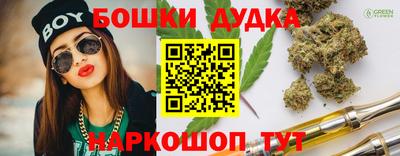стафф Дубна