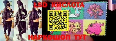 стафф Дубна