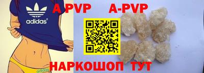 стафф Дубна