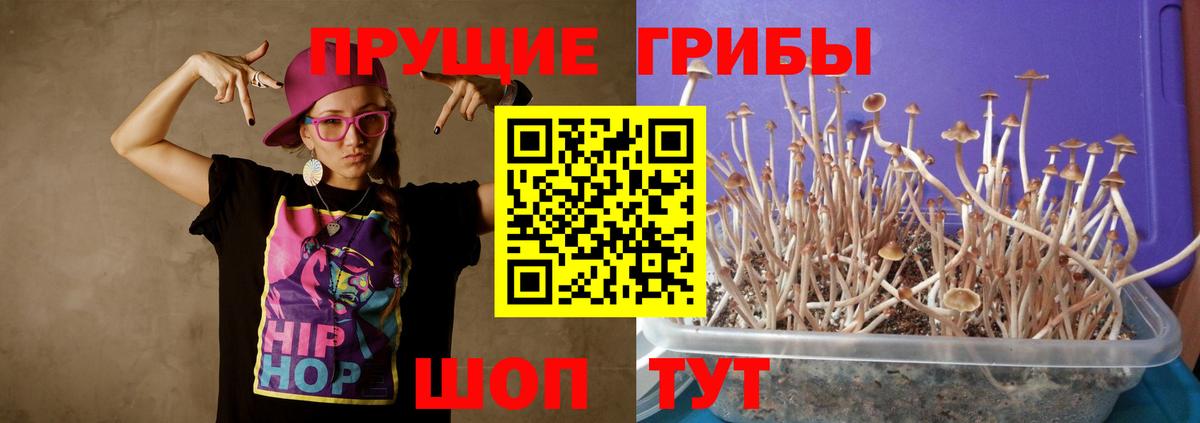 Лянтор  Псилоцибиновые грибы прущие грибы  как найти наркотики  Вход с VPN 